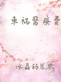 车祸医疗费赔偿