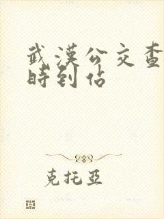 武汉公交查询实时到站