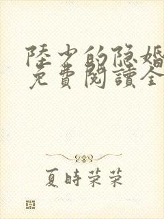 陆少的隐婚罪妻免费阅读全 陆少的隐婚罪妻免费阅读全