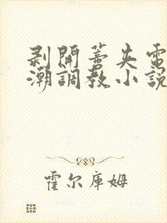 剥开蒂夹电击高潮调教小说