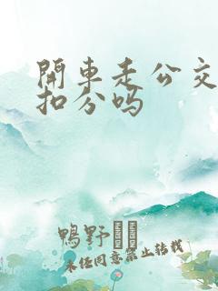 开车走公交车道扣分吗