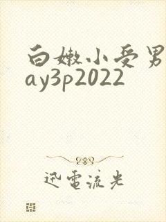 白嫩小受男同gay3p2022 白嫩小受男同gay3p2022