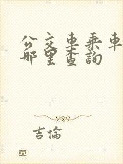 公交车乘车码在哪里查询