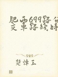 肥西699路公交车路线时间表