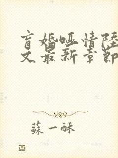 盲婚哑情陆彻全文最新章节免费阅读