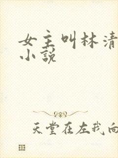 女主叫林清歌的小说