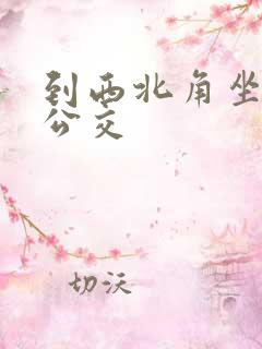 到西北角坐几路公交