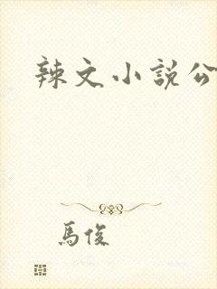 辣文小说公交车