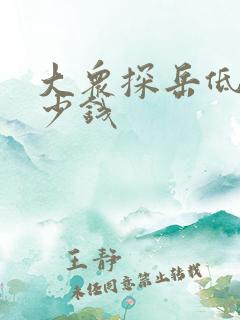 大众探岳低配多少钱 大众探岳低配多少钱