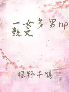 一女多男np调教文