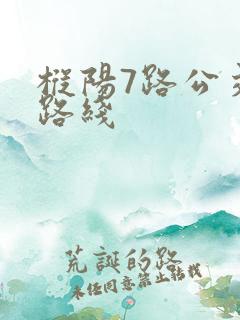 枞阳7路公交车路线