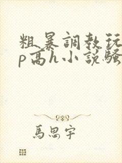 粗暴调教玩弄np高h小说骚受