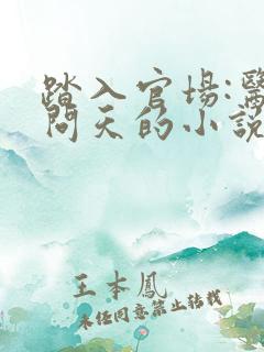 踏入官场:医道问天的小说
