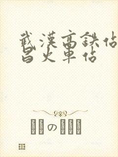 武汉高铁站到武昌火车站 武汉高铁站到武昌火车站