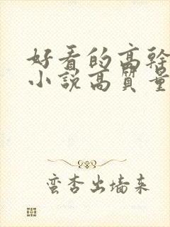 好看的高干言情小说高质量文笔好