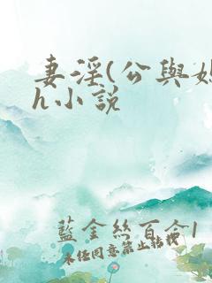 妻淫(公与媳7h小说