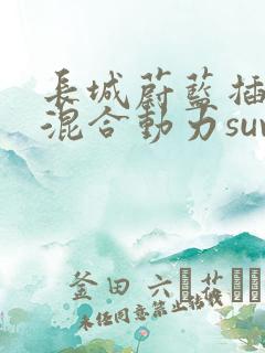 长城蔚蓝插电式混合动力suv