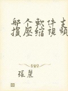 哪个软件支持无损压缩视频