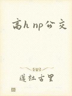 高h np公交 高h np公交