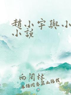 赵小宇与小后妈小说
