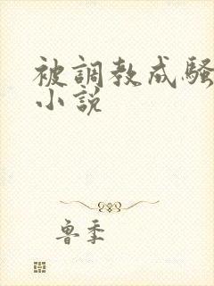 被调教成骚母狗小说