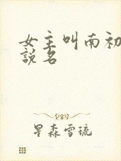 女主叫南初的小说名