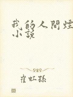 我的人间烟火 小说