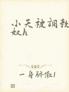 小夭被调教成肉奴h