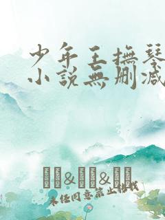 少年王抚琴的人小说无删减在线阅读