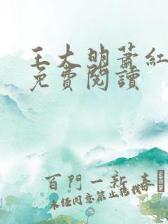 王大明萧红小说免费阅读