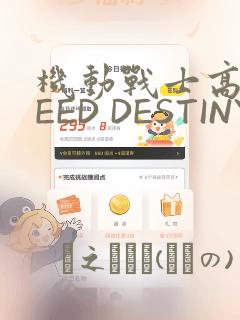 机动战士高达SEED DESTINY ASTRAY