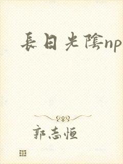 长日光阴np