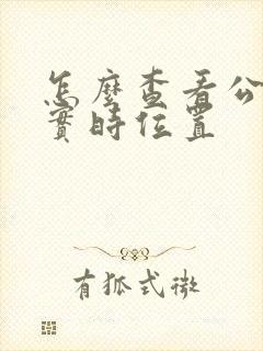 怎么查看公交车实时位置