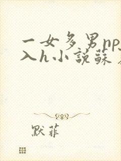 一女多男np慎入h小说苏夏