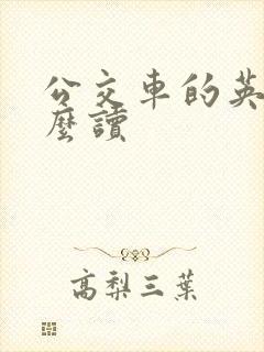 公交车的英语怎么读