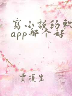 写小说的软件 app哪个好 写小说的软件 app哪个好