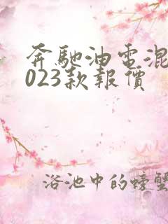 奔驰油电混合2023款报价