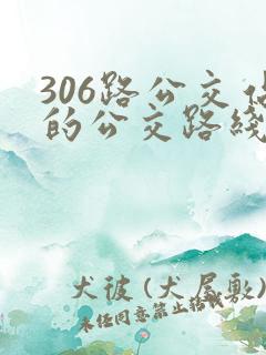 306路公交站的公交路线