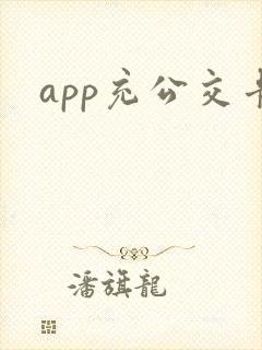 app充公交卡