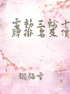 电动三轮十大名牌排名及价格