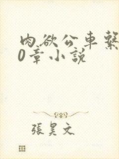 肉欲公车系500章小说