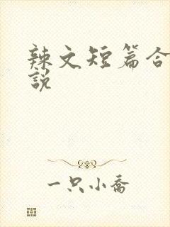 辣文短篇合集小说