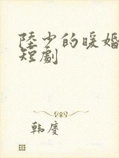 陆少的暖婚新妻短剧 陆少的暖婚新妻短剧