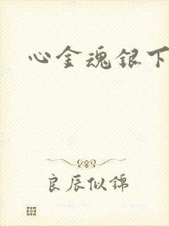 心金魂银下载