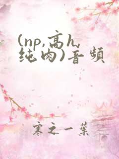 (np,高h,纯肉)音频