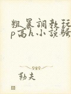 粗暴调教玩弄np高h小说骚受 粗暴调教玩弄np高h小说骚受