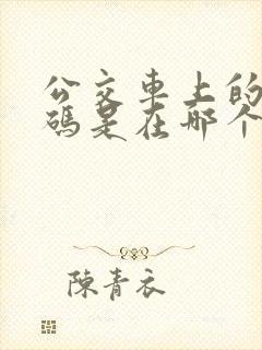 公交车上的乘车码是在哪个位置扫 公交车上的乘车码是在哪个位置扫