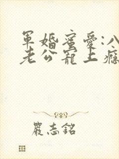 军婚蜜爱:八零老公宠上瘾 军婚蜜爱:八零老公宠上瘾