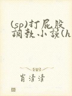 (sp)打屁股调教小说(h)