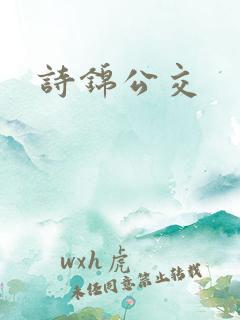 诗锦公交